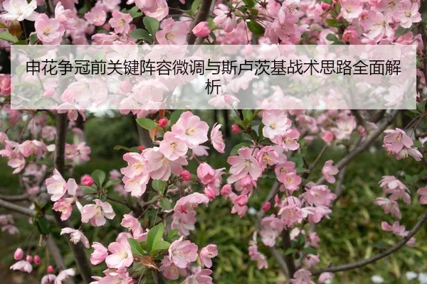 申花争冠前关键阵容微调与斯卢茨基战术思路全面解析