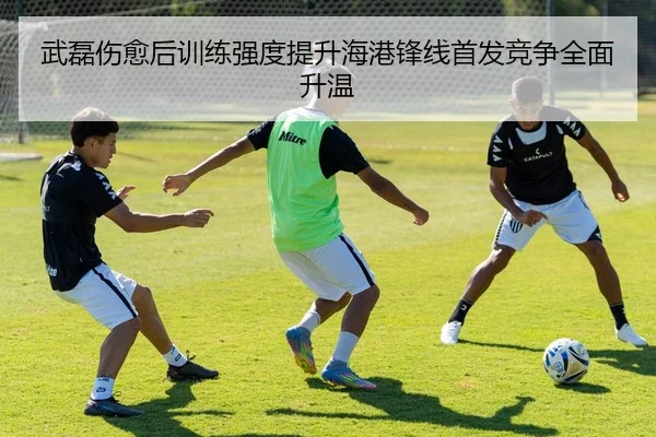 武磊伤愈后训练强度提升海港锋线首发竞争全面升温